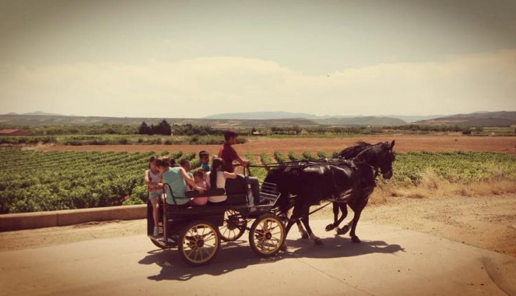Niños en calsea entre viñas