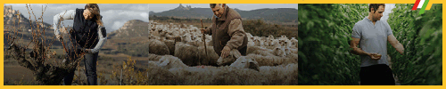 Dignificación agricultura 2025 500