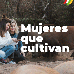 Mujeres rurales 300